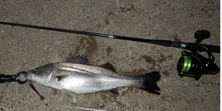 やっと釣れた‼前は⁇A lo…